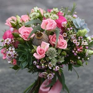 Meet your Posher, Darla